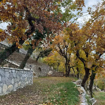 招待所 Bujtina Cupa 3*