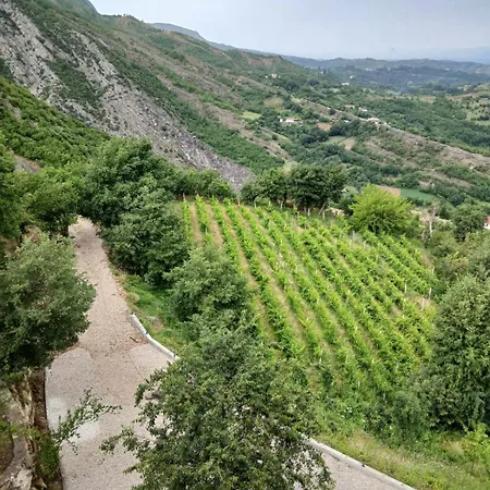 Bujtina çupa 3* Klos