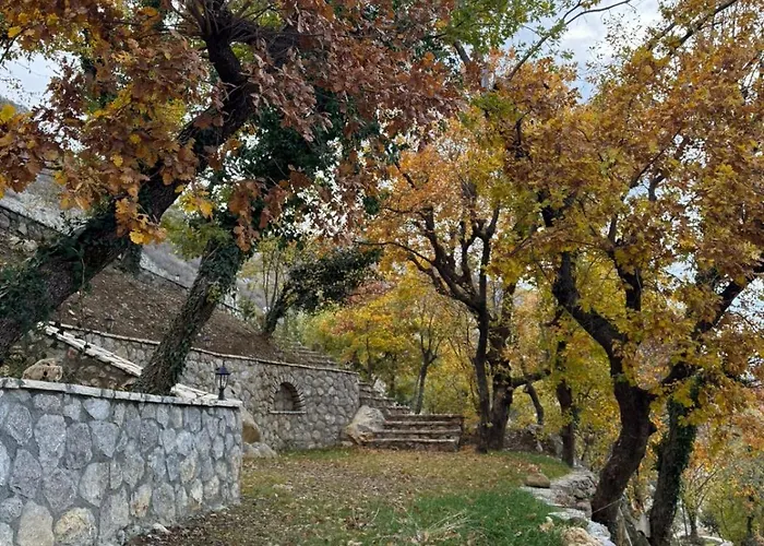 Πανσιόν Bujtina Cupa 3*